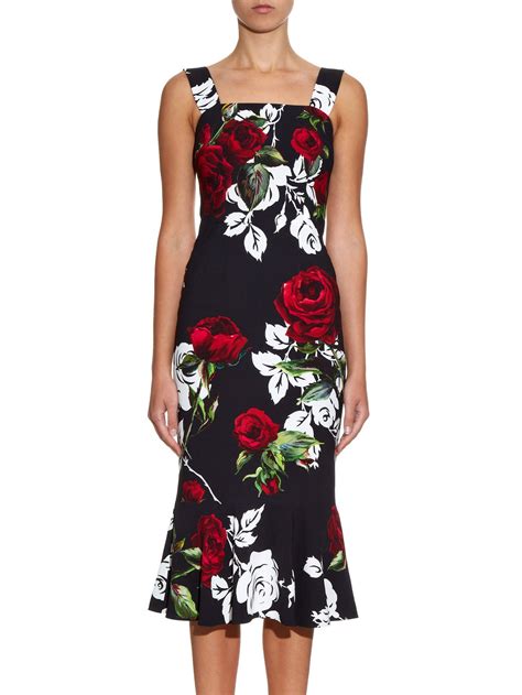 dolce gabbana rose print black|More.